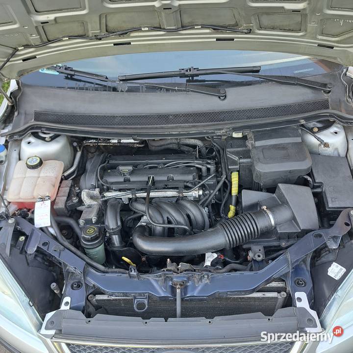Ford Focus 14 benzyna Prosty silnik Mocno lakier metallic Opole