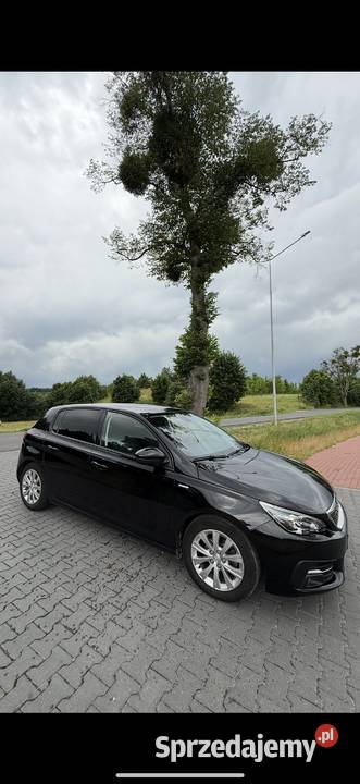 Peugeot 308 2019 15 BlueHDI manual 138 przebieg