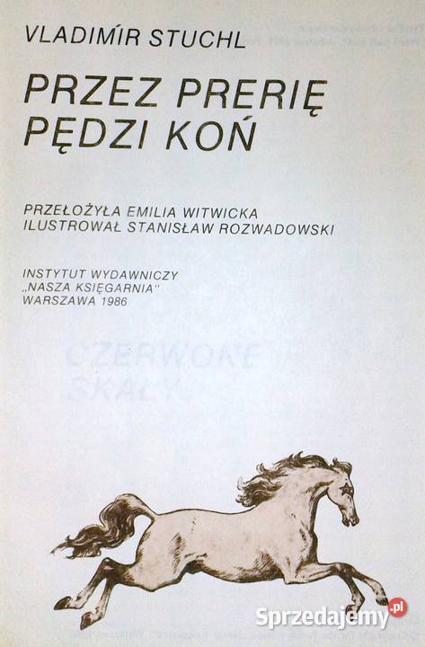 prerię pędzi koń Vladimr Stuchl Chełm sprzedam