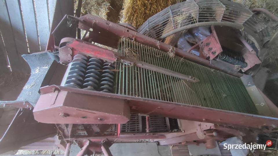 kombajn do ziemniaków Apple Hassia Żarnowa