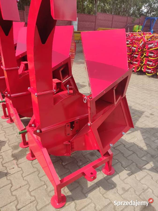 Rebak Tarczowy dolnośląskie Legnica