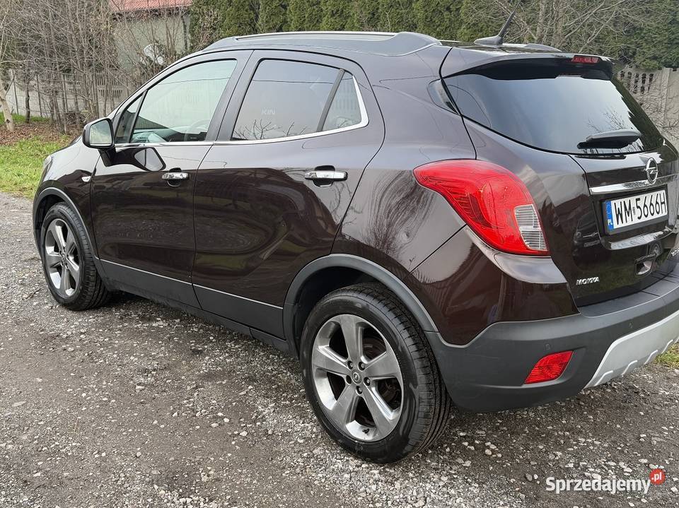 Mokka Cosmo Stojadła sprzedam