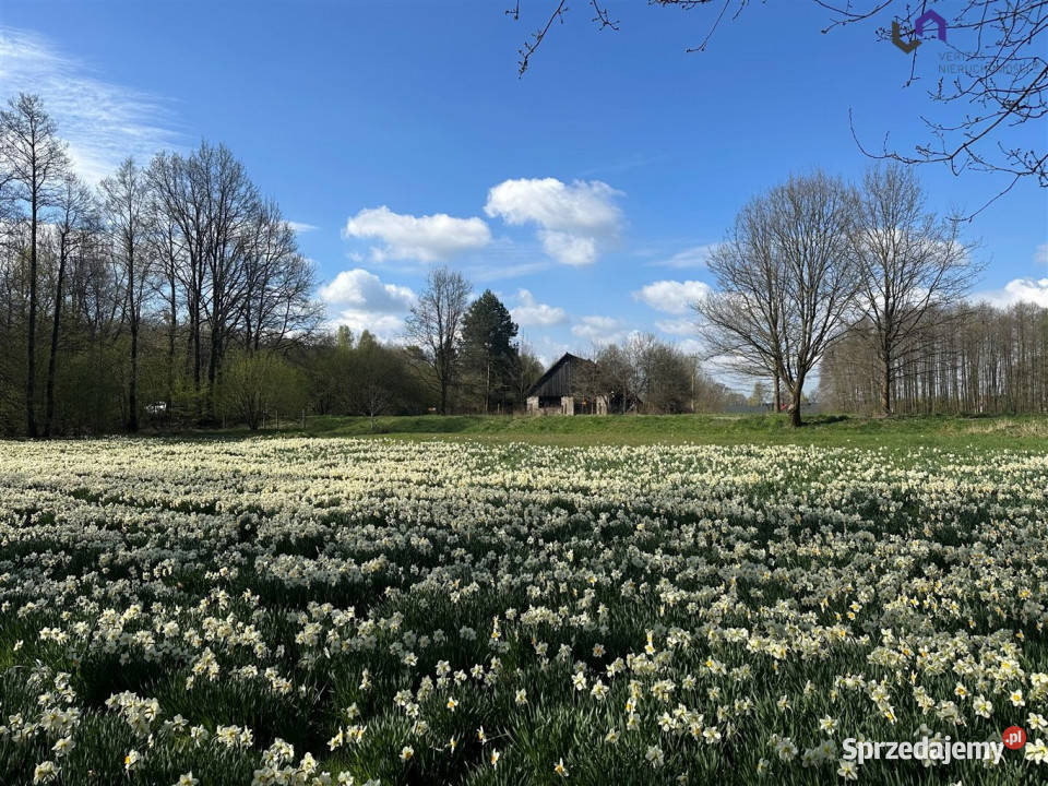 Sprzedaż gruntu Gostyń 2007m2 budowlana śląskie