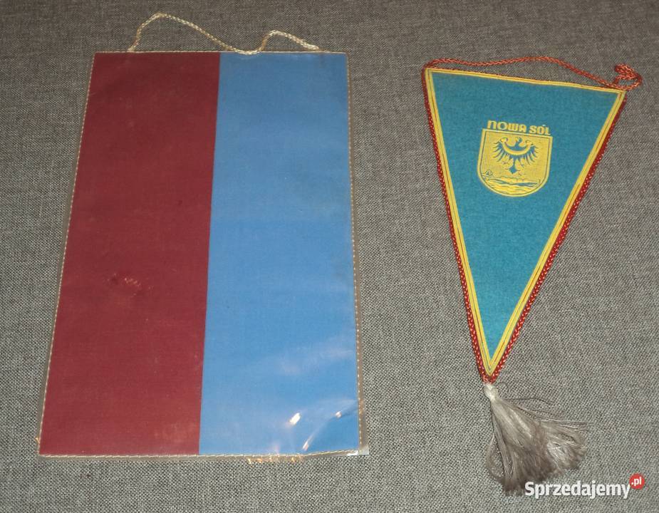 KS Tarpan FSR Poznań ZKS Dozamet Nowa Sól śląskie Piekary Śląskie