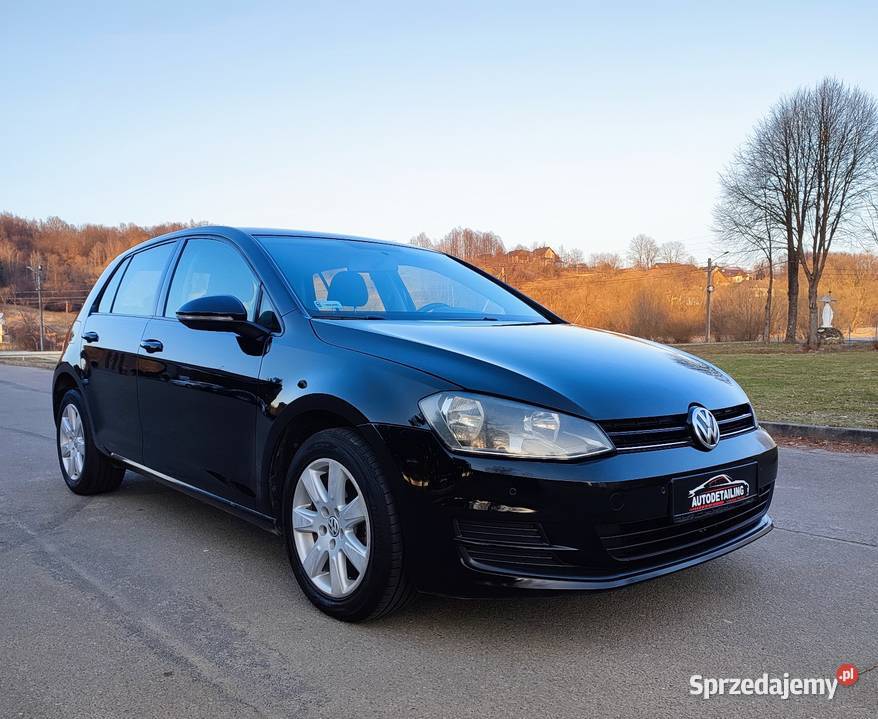 Volkswagen Golf VII 16 TDI bez dwumasy 90 2013 lakier metallic podkarpackie