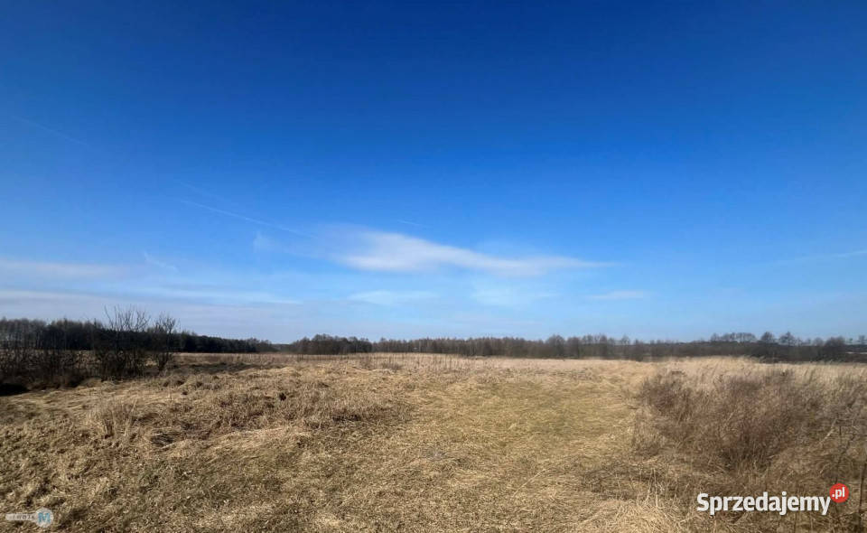 Grunt Śladków Duży 43100m2 Sprzedaż