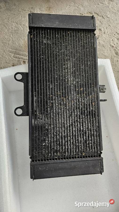 CHŁODNICA SUZUKI gsf 650 OEM Gościejew