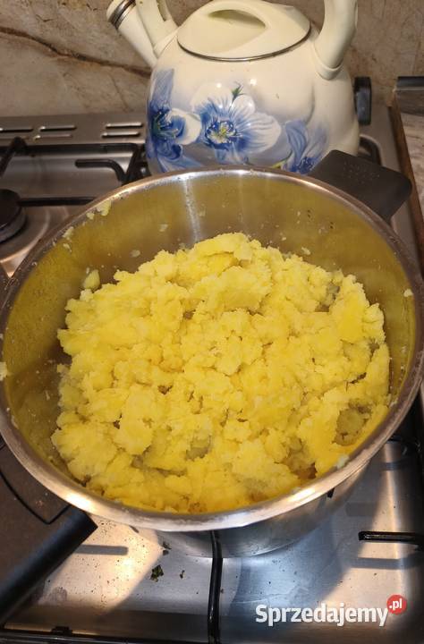 Ziemniaki wielkość sadzeniaka