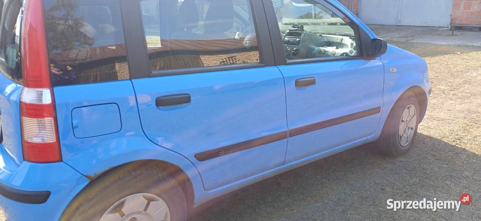 Fiat Panda 11 Benzyna z 2005 roku w stanie Myszczyn