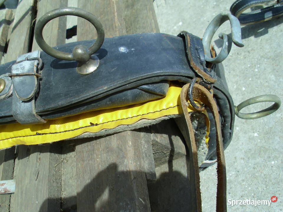 Bryczka uprząż kantar Przechlewo