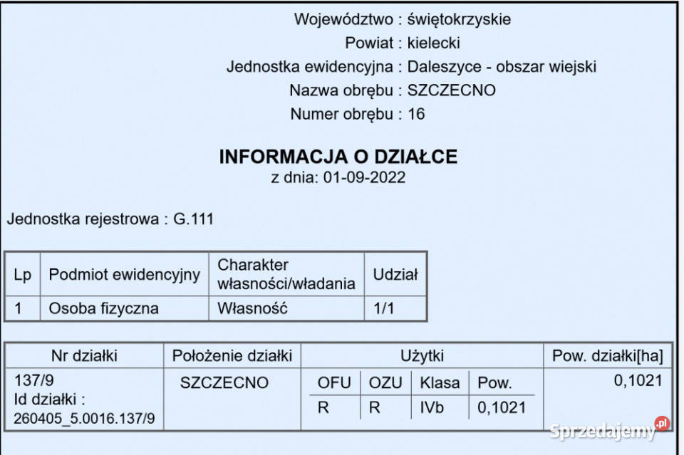 25 Kielc uzbrojona w otoczeniu lasów świętokrzyskie Szczecno