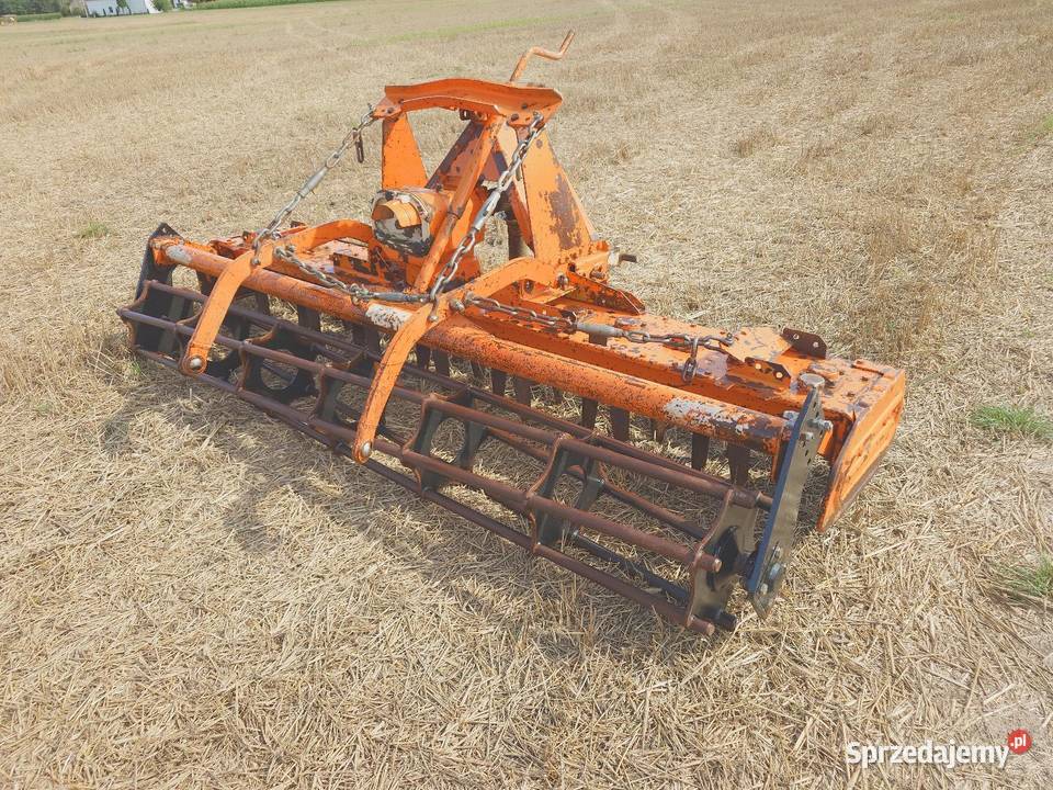 Brona Aktywna Maschio Korfantów