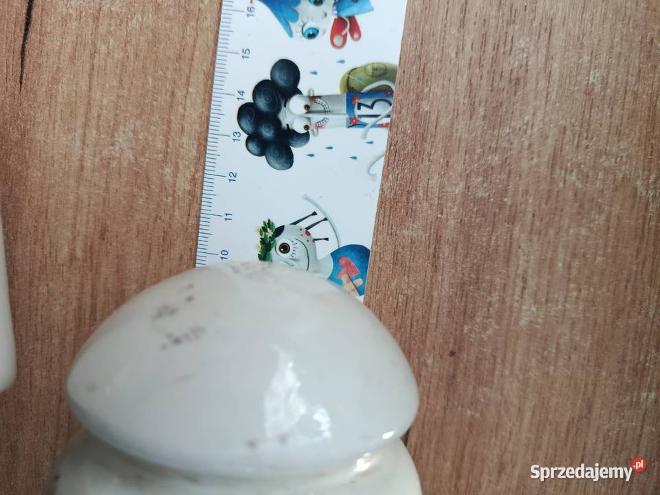 Sprzedam dwa stare izolatory 13 i 10 Pozostałe Choszczno