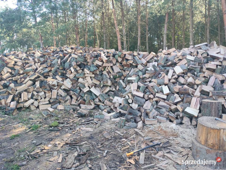 Drewno Kominkowe I opalowe Buk Dąb Brzoza Olcha Międzyrzecz
