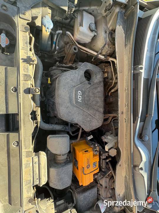 Kia Sportage małopolskie