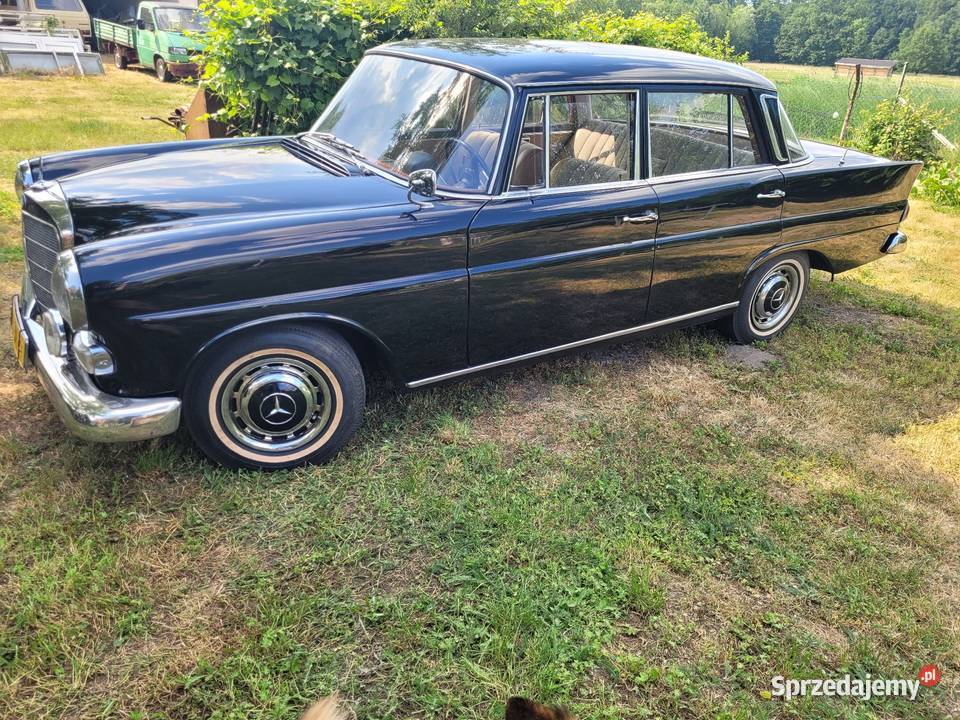 Mercedes w110 1966 r zarejestrowany na żółte Pozostałe Lubsko