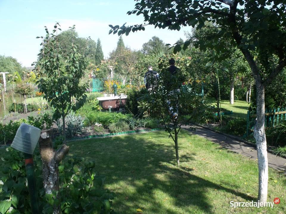 Sprzedam dzialke rekreacyjna ROD Zacisze Grunty i działki kujawsko-pomorskie Grudziądz