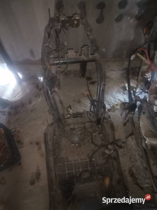 Części Peugeot Hercules 50 2t Peugeot Nasutów