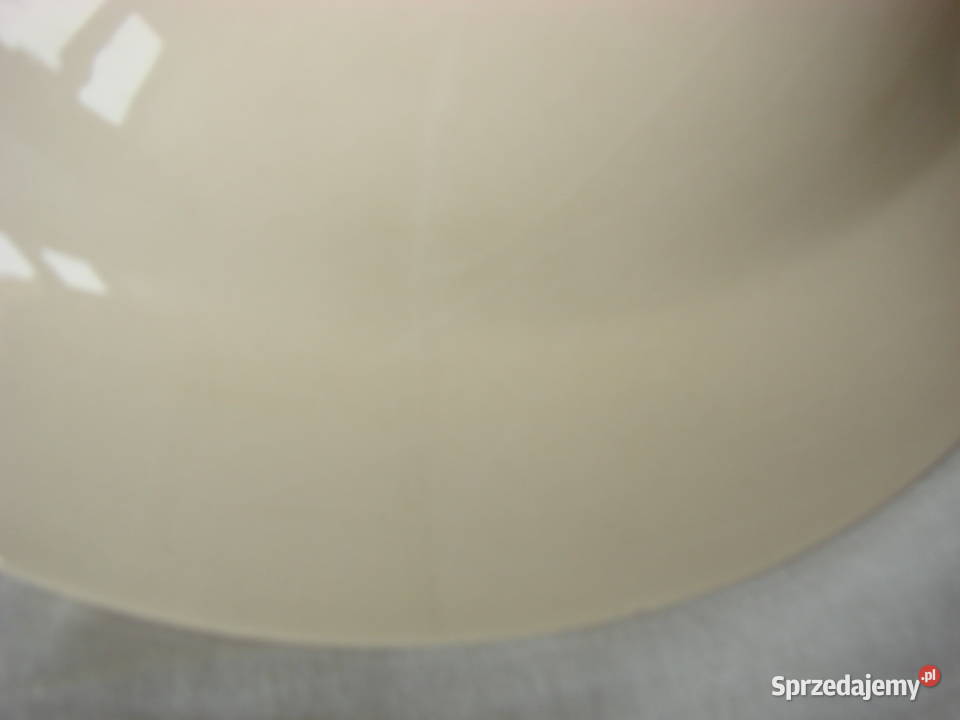 Włocławek fajansowy talerz Pruszcz Gdański