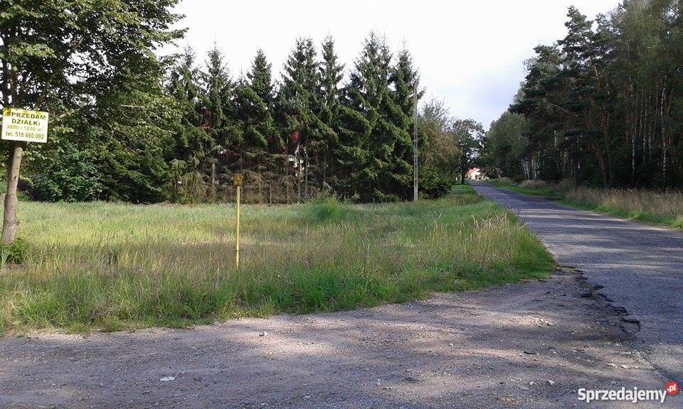 Piękna działka budowlana 25 min Szczecina Niedźwiedź
