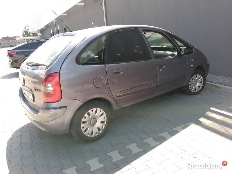Xsara picasso Cytrynka Rok produkcji 2005 Poznań