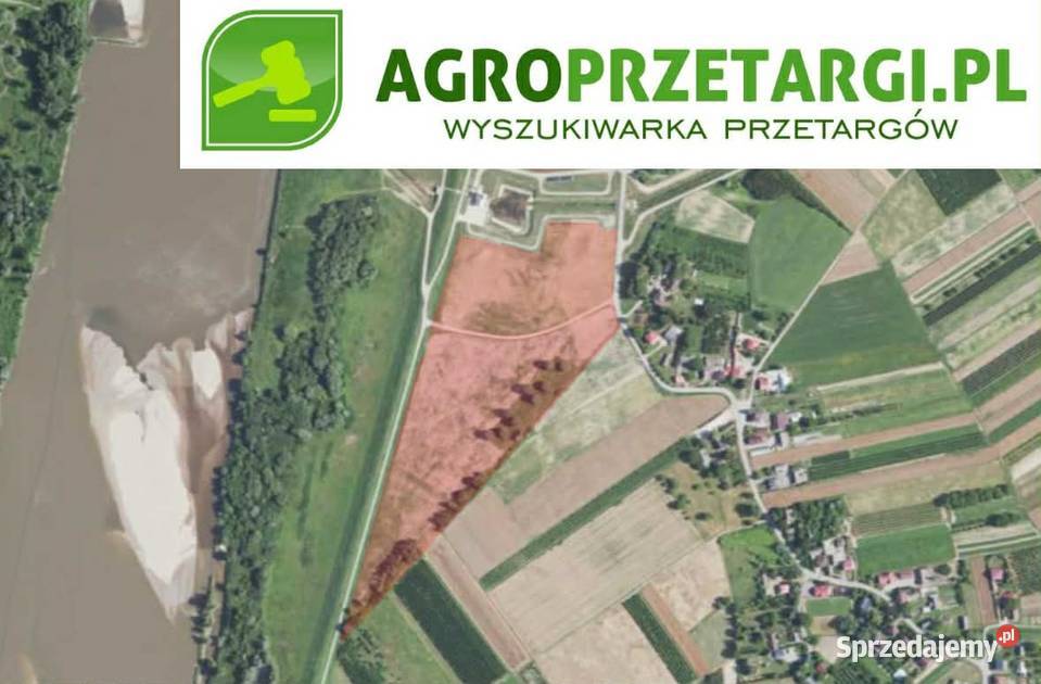 Dzierżawa 660 ha gruntu rolnego Sandomierz