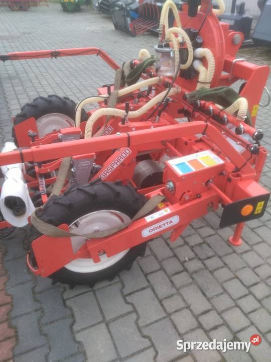 Siewnik maschio orietta Miechów