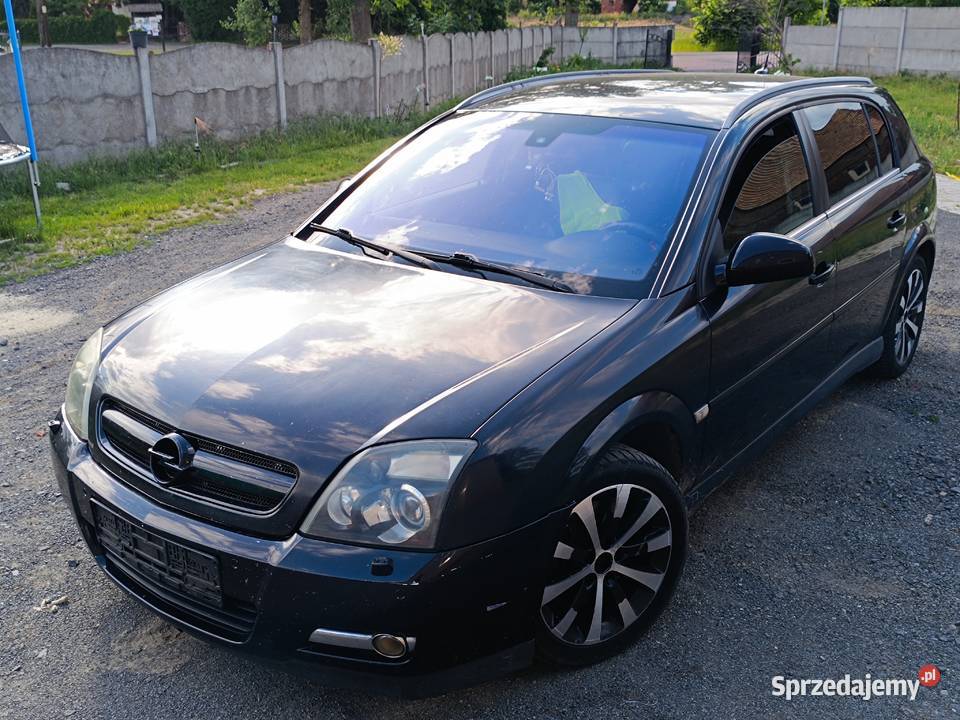 Opel Signum 30 V6 CDTI 177 2005 r Bogata Wersja Trzebiel