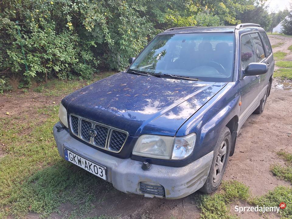 Subaru forester Ryjewo