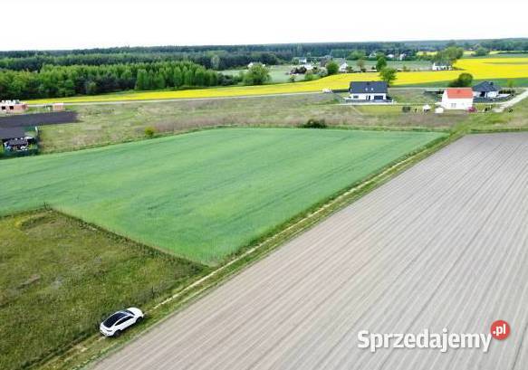 Syndyk Locotranssped Sp z oo w upadłości sprzeda Wronczyn