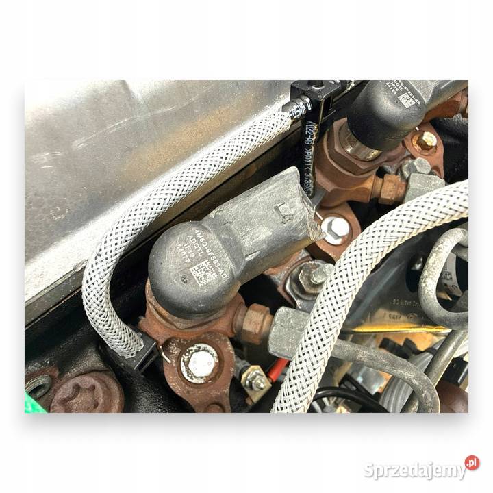 SILNIK KKDA Ford C C Focus II MK2 18 TDCI 115 osobowe Chełm