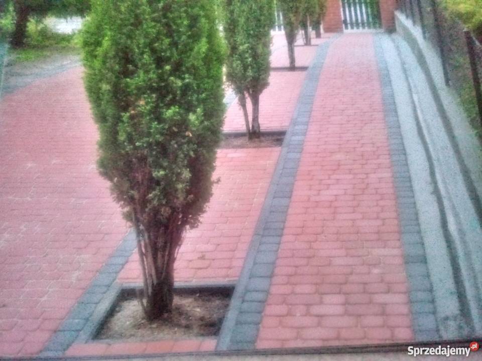 Kostka brukowa ogrodzenia ogrody Wieliczka usługi budowlane