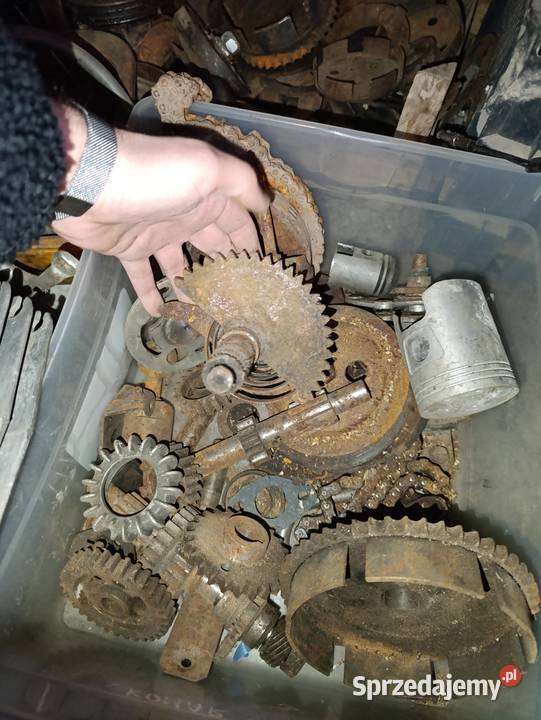 Panonia wał skrzynia kopniak Kielce