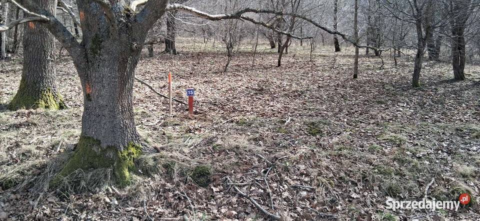 Działka morzem Charnowo Ustka Słupsk