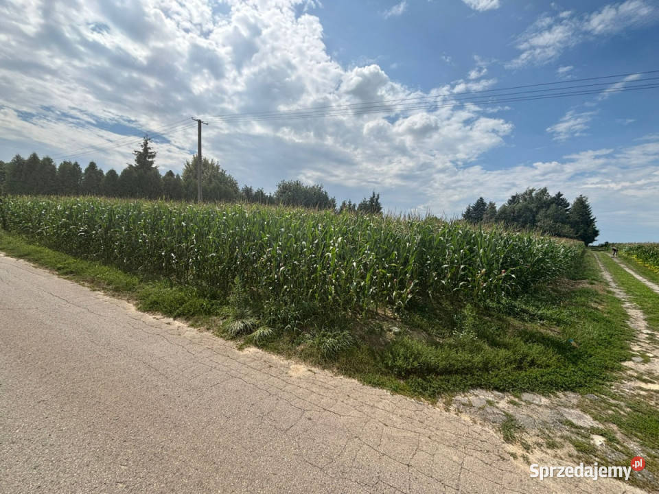 działka budowlana Płouszowice Kolonia Płouszowice-Kolonia
