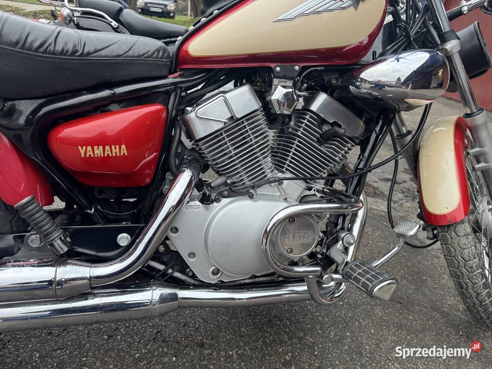 Virago 250125 na kat B Zamość