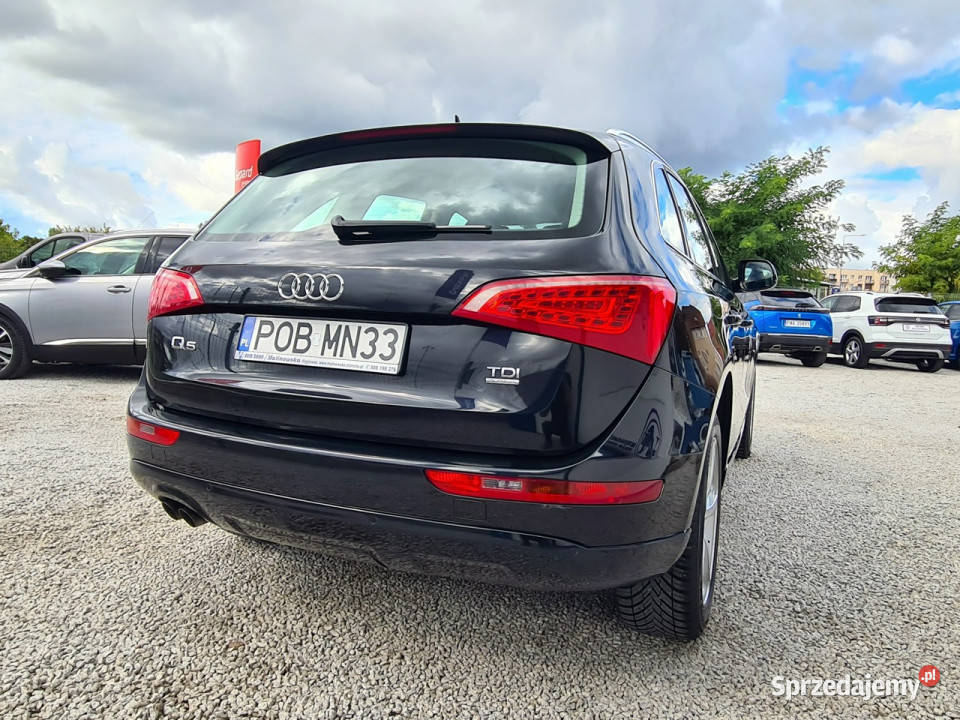Audi Q5 QUATTRO Navi 2xPDC Xenon Led ElKlapa Zarejestrowany w Polsce wielkopolskie Wągrowiec