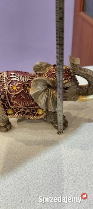 Słoń na szczęście Gostynin