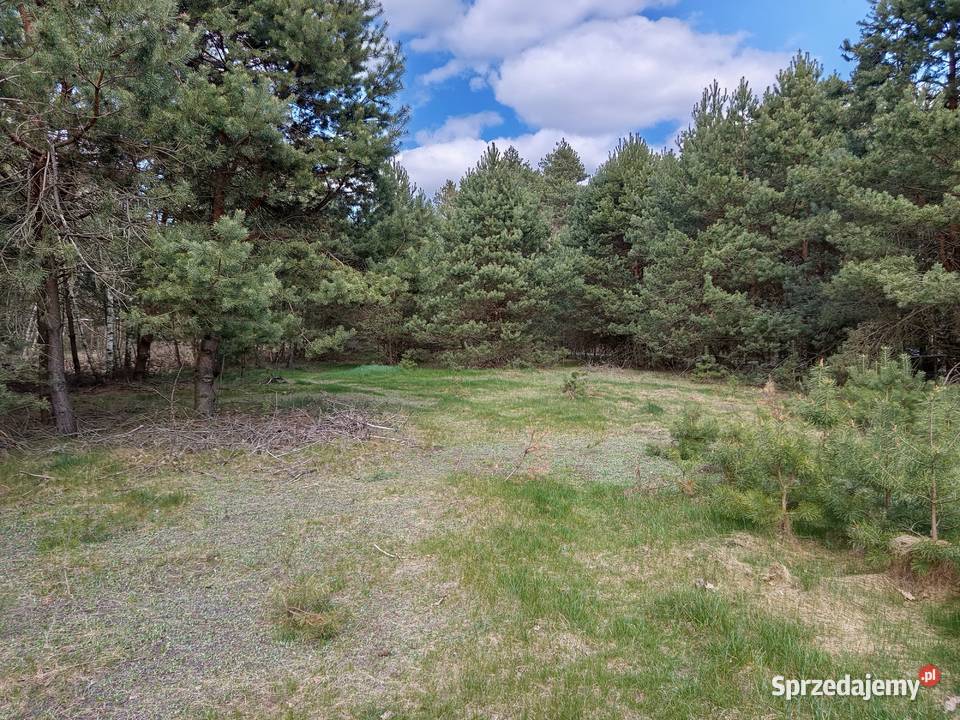 Sprzedam działkę rolną lesie 3900 m2 Talczyn