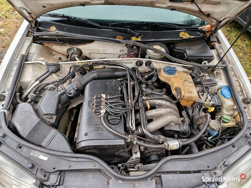 Volkswagen Passat Kombi 18 92 kw 1998 r dawca Samochody na części wielkopolskie Szklarka Myślniewska