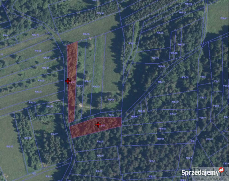 Działka 24313m2 Budzów Budzów małopolskie sprzedam