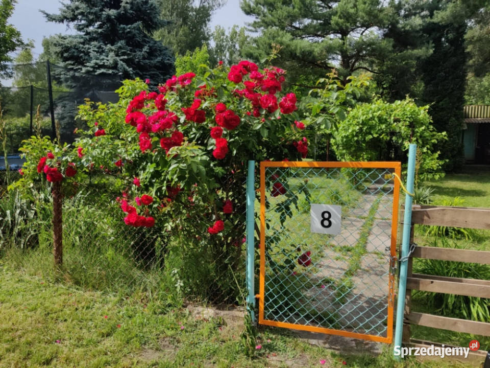 Działka Rekreacyjna ROD 500m2 Paluch 1 Włochy Warszawa sprzedam