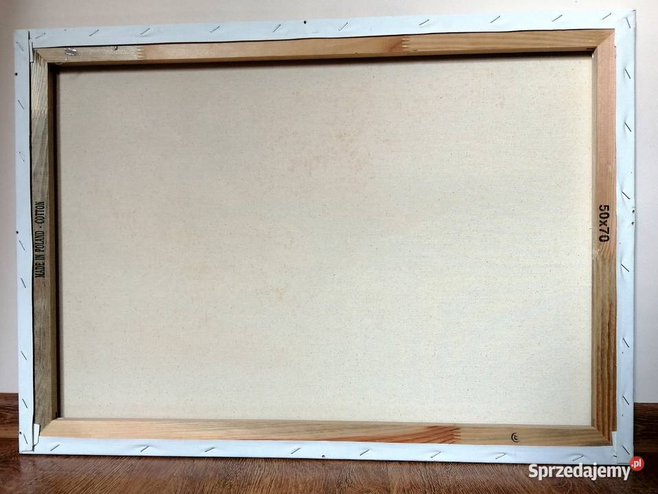 Obraz olejny Kobieta kot łódzkie Łódź sprzedam