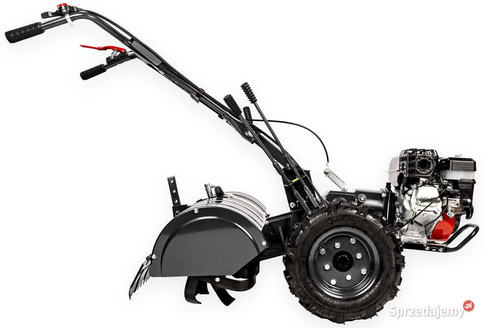 CEDRUS GLX650 GLEBOGRYZARKA SPALINOWA OGRODOWA Opalenica sprzedam
