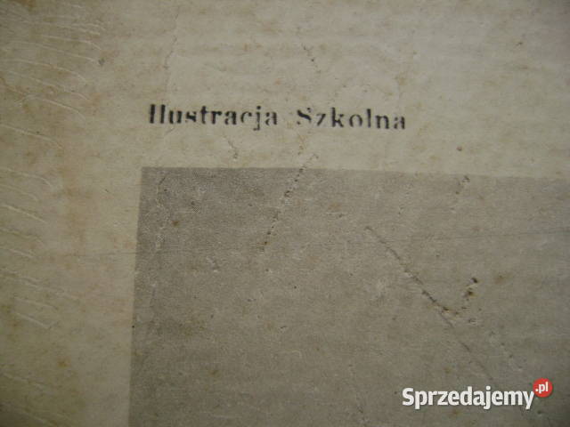 Starocie z PRL Plansza szkolna z 1935r 51 x 35 Gdynia