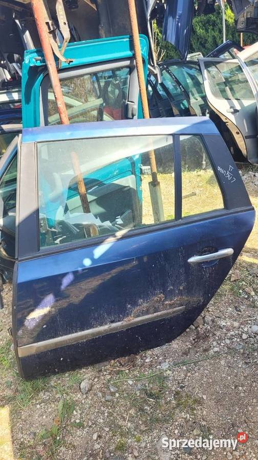 Drzwi Renault Laguna II