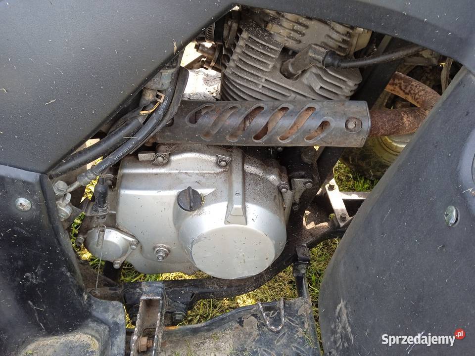 Loncin 250 2x4 Widuchowa