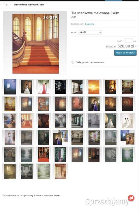 Tła scenkowe malowane 3x6m Pozostałe Łuków