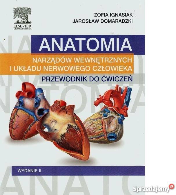 ANATOMIA NARZĄDÓW WEWNĘTRZNYCH PRZEWODNIK Książki naukowe i popularnonaukowe Książki naukowe i popularnonaukowe zachodniopomorskie Szczecin