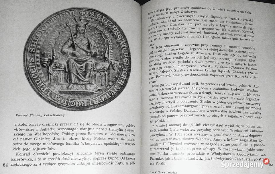 Królowa Jadwiga Opowieść o czasach i ludziach twarda sprzedam